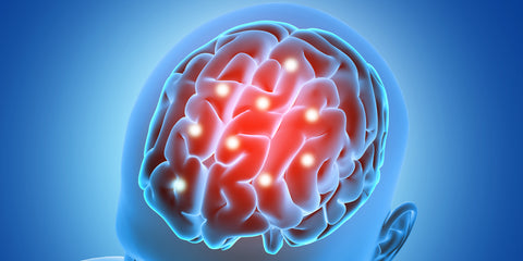 Epilessia e assunzione di vitamina D