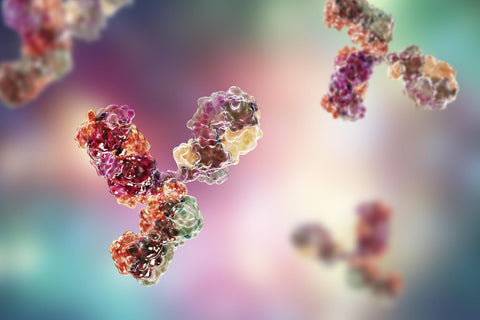 Sistema immunitario e supporto naturale con AHCC per le malattie autoimmuni