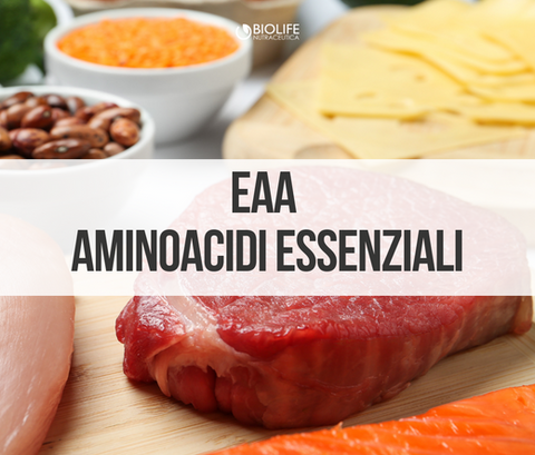 Allenamento e recupero muscolare con aminoacidi essenziali