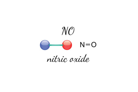 Integratore di ossido nitrico per la salute vescicale