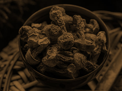 agaricus_in_capsule_prodotto_italiano_veganok_titolato_in_polisaccaridi_e_betaglucani_utile_contro_le_malattie_
