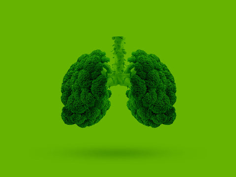 Broccoli freschi, fonte naturale di sulforafano utile per la salute polmonare e la prevenzione della BPCO.