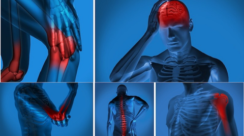 Il mondo del sistema immuntario e delle sue patologie