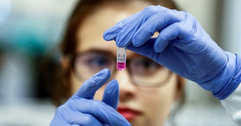 Leucemia linfatica cronica e integratore di curcumina