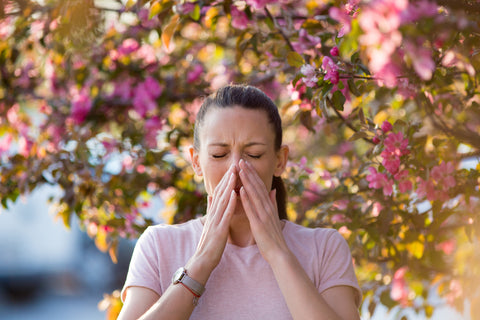 I pollini potenziati dall’inquinamento danneggiano anche chi non è allergico