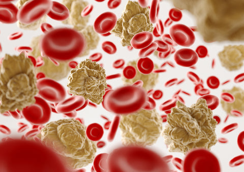 Integratori utili durante la terapia contro il Papilloma Virus