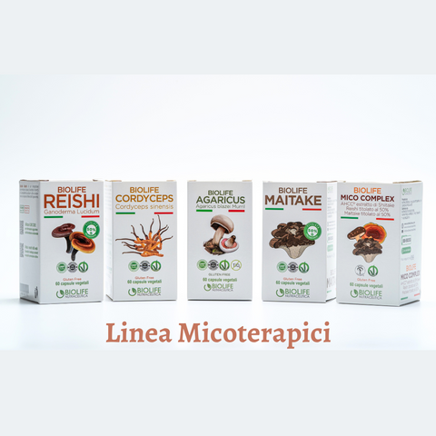 Agaricus blazei murrill | 60 capsule da 500mg | Supporto Sistema immunitario| Titolato 10% in polisaccaridi | Prodotto VEGANOK