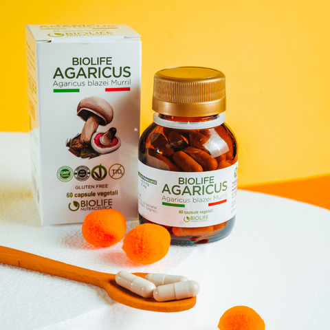 Agaricus blazei murrill |  60 capsule da 500mg | Supporto Sistema immunitario| Titolato 10% in polisaccaridi | Prodotto VEGANOK