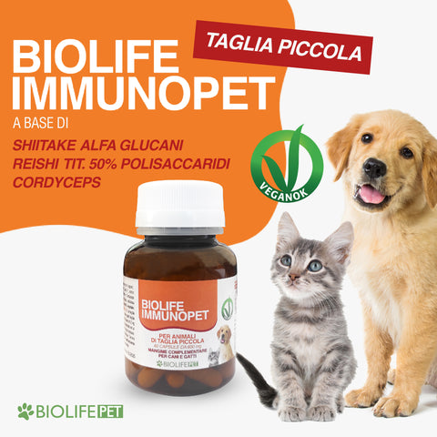 Biolife Immunopet | 60 capsule per Taglia Piccola | A base di Shiitake, Reishi titolato 50% e Cordyceps