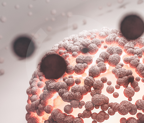 Neutropenia: cosa significa avere i globuli bianchi bassi e come supportare il sistema immunitario