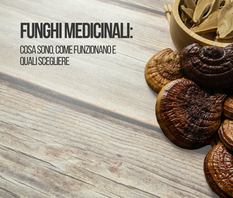 Funghi medicinali: cosa sono, come funzionano e quali scegliere