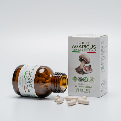 Agaricus blazei murrill |  60 capsule da 500mg | Supporto Sistema immunitario| Titolato 10% in polisaccaridi | Prodotto VEGANOK
