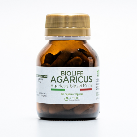 Agaricus blazei murrill |  60 capsule da 500mg | Supporto Sistema immunitario| Titolato 10% in polisaccaridi | Prodotto VEGANOK