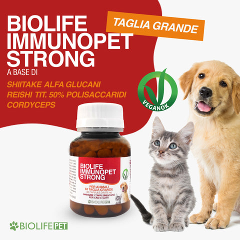 Biolife Immunopet Strong | 60 capsule per Taglia Grande | A base di Shiitake Alfa Glucani Reishi titolato 50% e Cordyceps
